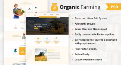 Chartered Accountant HTML Website Template