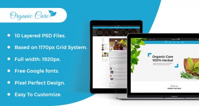 Chartered Accountant HTML Website Template