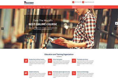 Exterior Decoration WordPress Theme